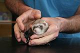 VETERINAIRE NAC 055